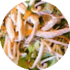 Salade chinoise aux germes de Soja et Poulet